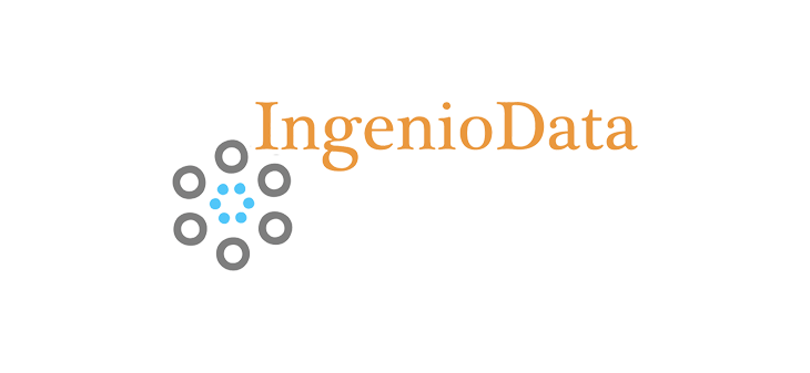 Ingeniodata website LT